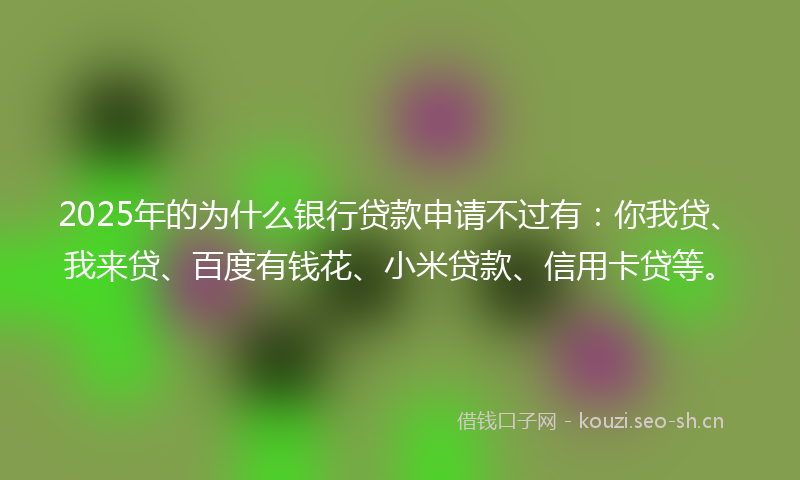 2025年的为什么银行贷款申请不过有：你我贷、我来贷、百度有钱花、小米贷款、信用卡贷等。