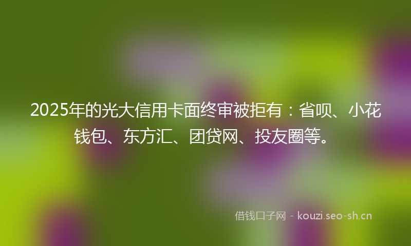 2025年的光大信用卡面终审被拒有：省呗、小花钱包、东方汇、团贷网、投友圈等。