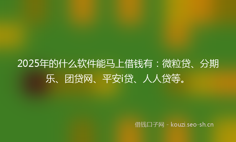 2025年的什么软件能马上借钱有：微粒贷、分期乐、团贷网、平安i贷、人人贷等。