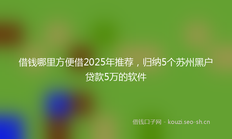 借钱哪里方便借2025年推荐,归纳5个苏州黑户贷款5万的软件
