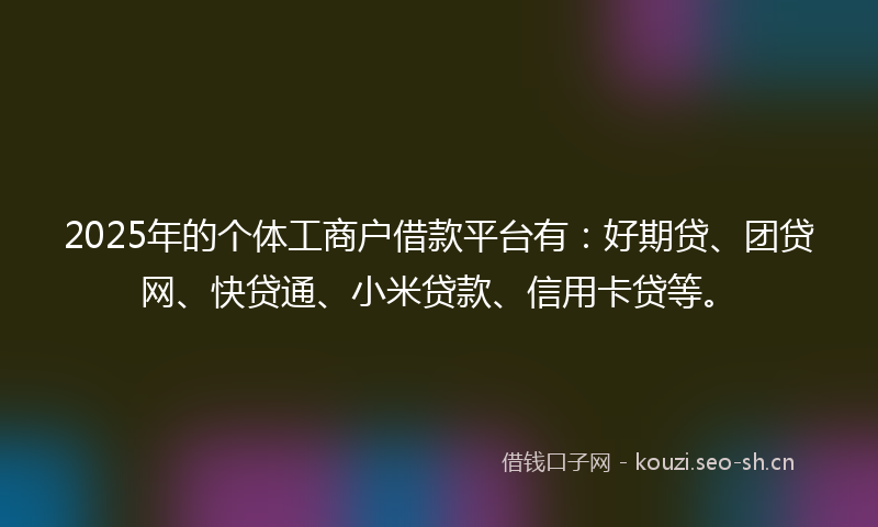 2025年的个体工商户借款平台有：好期贷、团贷网、快贷通、小米贷款、信用卡贷等。