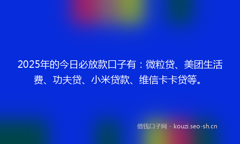 2025年的今日必放款口子有：微粒贷、美团生活费、功夫贷、小米贷款、维信卡卡贷等。