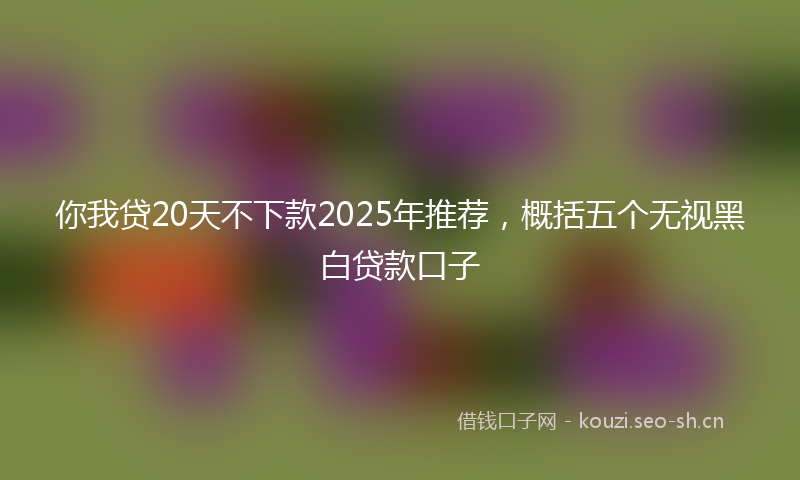 你我贷20天不下款2025年推荐,概括五个无视黑白贷款口子