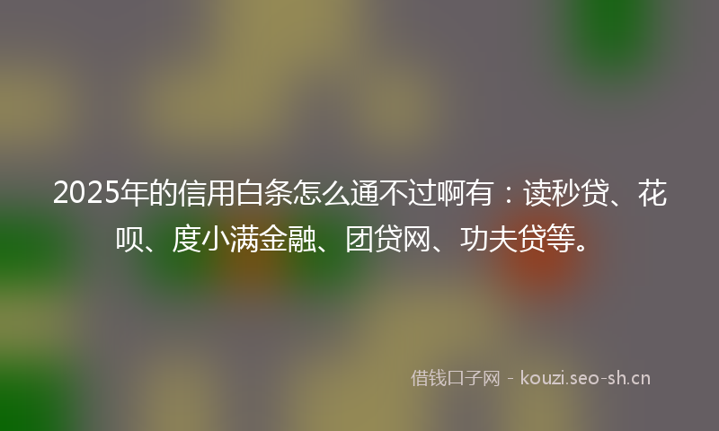 2025年的信用白条怎么通不过啊有：读秒贷、花呗、度小满金融、团贷网、功夫贷等。