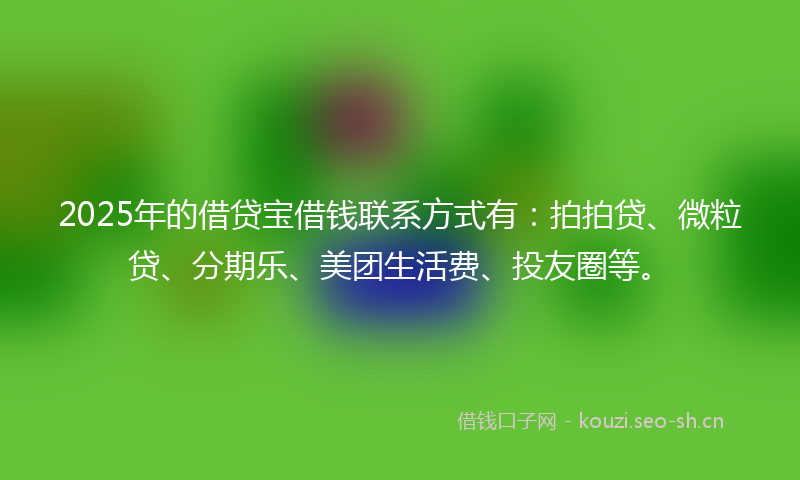 2025年的借贷宝借钱联系方式有：拍拍贷、微粒贷、分期乐、美团生活费、投友圈等。