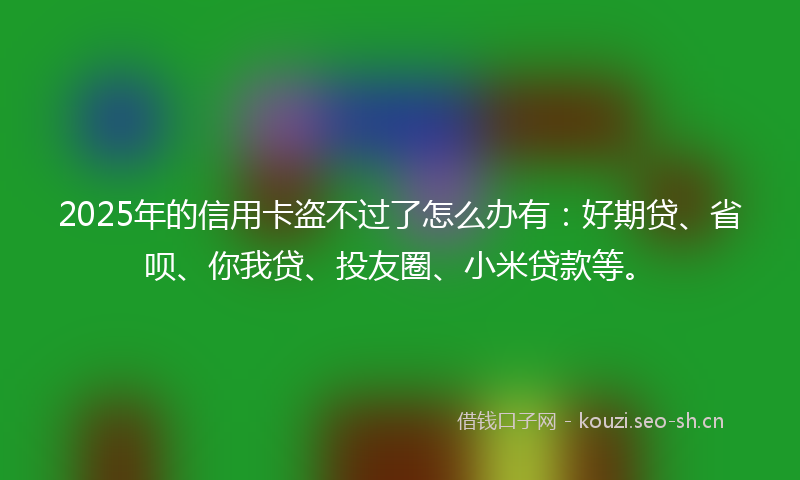 2025年的信用卡盗不过了怎么办有：好期贷、省呗、你我贷、投友圈、小米贷款等。