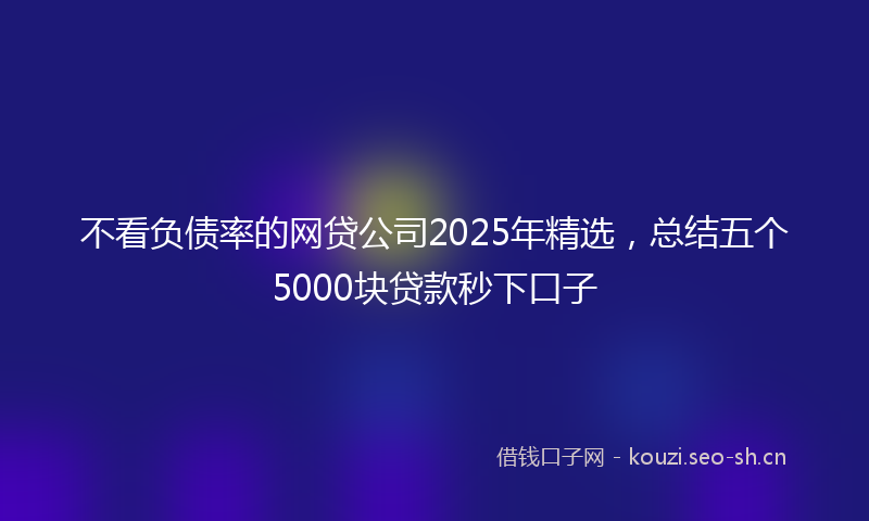 不看负债率的网贷公司2025年精选，总结五个5000块贷款秒下口子