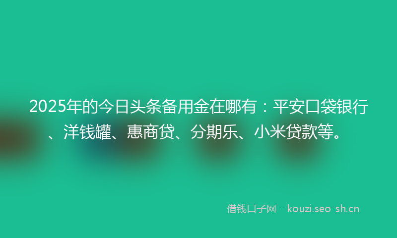 2025年的今日头条备用金在哪有：平安口袋银行、洋钱罐、惠商贷、分期乐、小米贷款等。