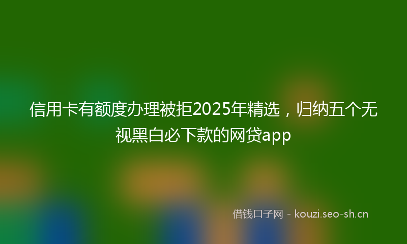 信用卡有额度办理被拒2025年精选，归纳五个无视黑白必下款的网贷app