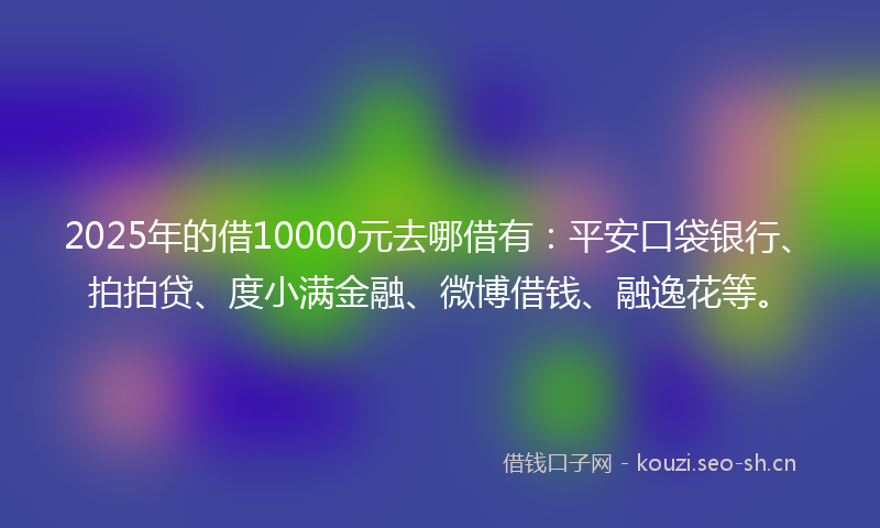 2025年的借10000元去哪借有：平安口袋银行、拍拍贷、度小满金融、微博借钱、融逸花等。