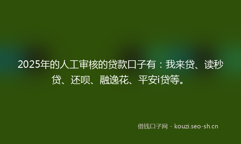 2025年的人工审核的贷款口子有：我来贷、读秒贷、还呗、融逸花、平安i贷等。