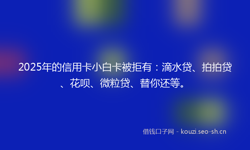2025年的信用卡小白卡被拒有：滴水贷、拍拍贷、花呗、微粒贷、替你还等。