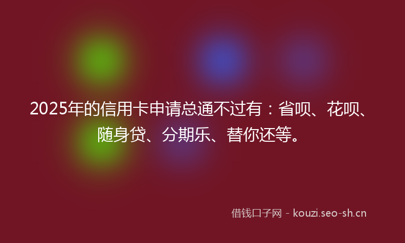 2025年的信用卡申请总通不过有:省呗、花呗、随身贷、分期乐、替你还等。