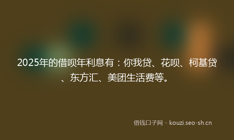 2025年的借呗年利息有：你我贷、花呗、柯基贷、东方汇、美团生活费等。