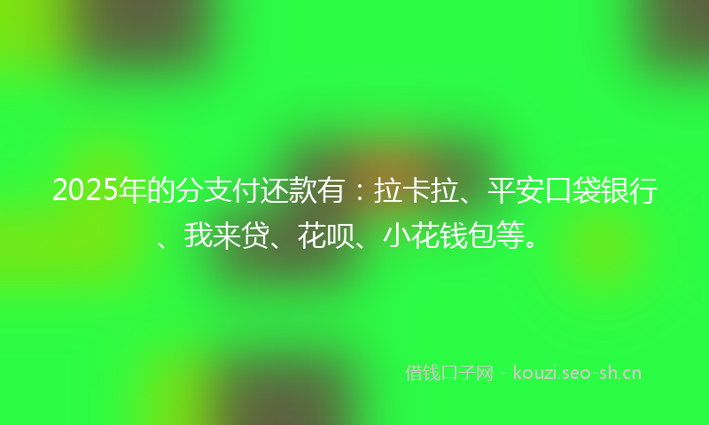 2025年的分支付还款有：拉卡拉、平安口袋银行、我来贷、花呗、小花钱包等。