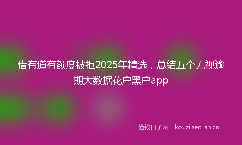 借有道有额度被拒2025年精选,总结五个无视逾期大数据花户黑户app