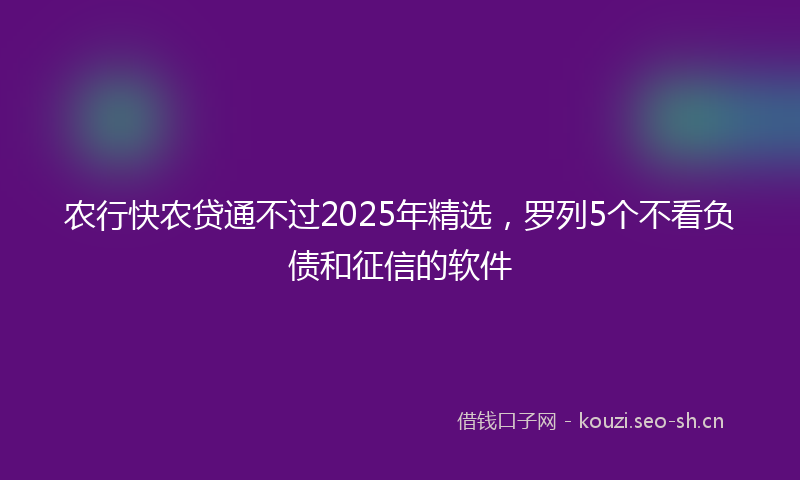 农行快农贷通不过2025年精选，罗列5个不看负债和征信的软件