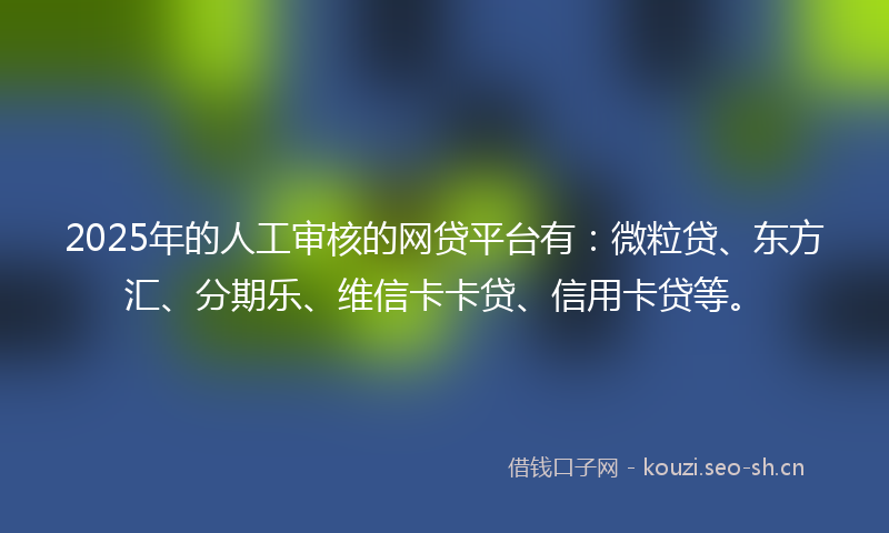 2025年的人工审核的网贷平台有：微粒贷、东方汇、分期乐、维信卡卡贷、信用卡贷等。