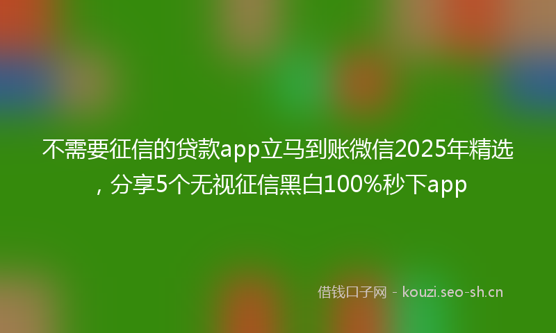 不需要征信的贷款app立马到账微信2025年精选，分享5个无视征信黑白100%秒下app
