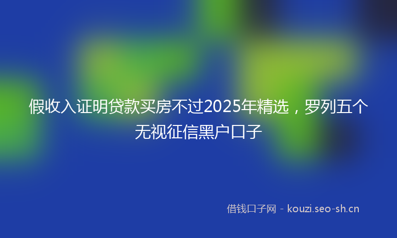 假收入证明贷款买房不过2025年精选，罗列五个无视征信黑户口子