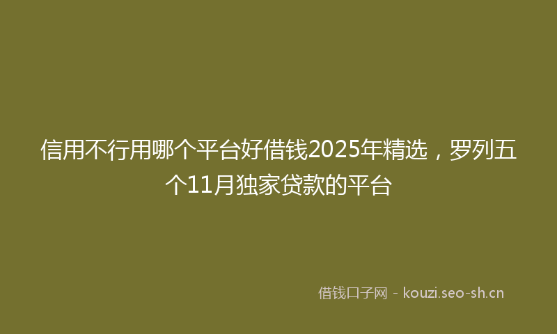 信用不行用哪个平台好借钱2025年精选，罗列五个11月独家贷款的平台