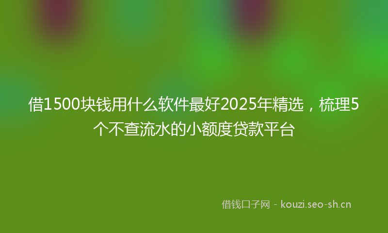 借1500块钱用什么软件最好2025年精选，梳理5个不查流水的小额度贷款平台