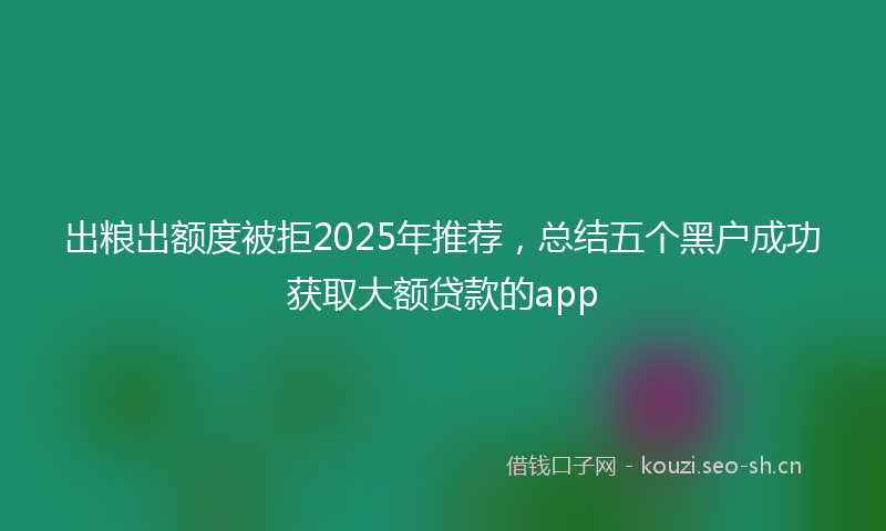出粮出额度被拒2025年推荐,总结五个黑户成功获取大额贷款的app