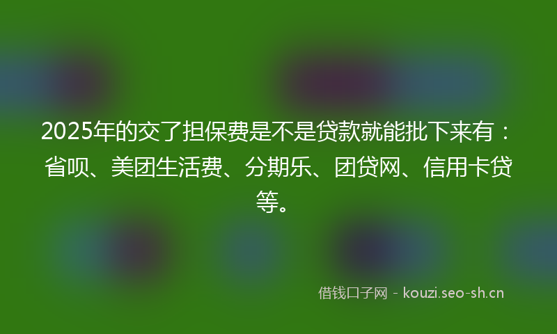 2025年的交了担保费是不是贷款就能批下来有：省呗、美团生活费、分期乐、团贷网、信用卡贷等。