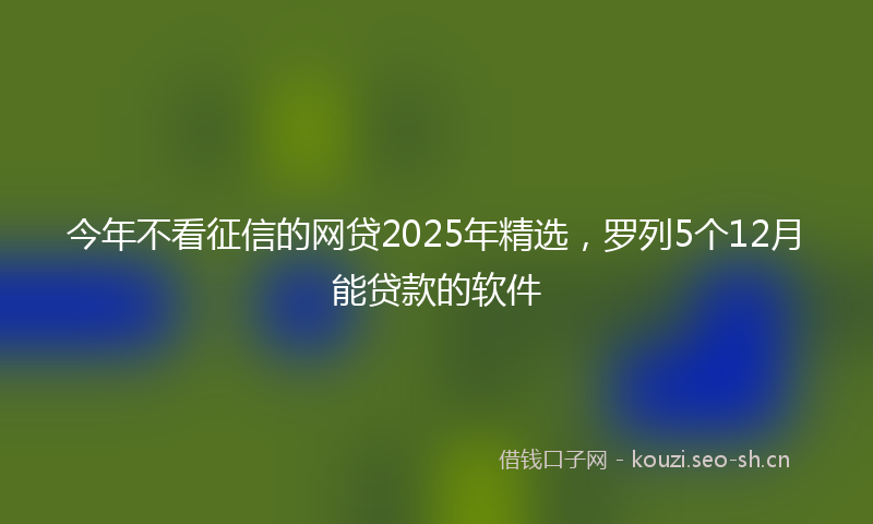 今年不看征信的网贷2025年精选，罗列5个12月能贷款的软件