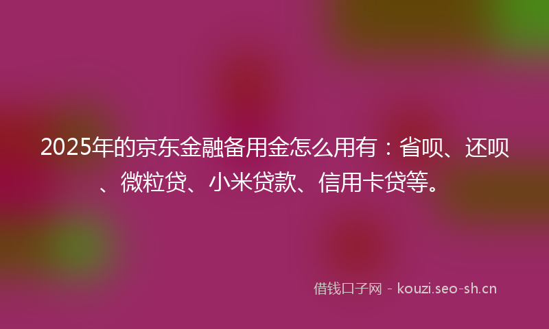 2025年的京东金融备用金怎么用有:省呗、还呗、微粒贷、小米贷款、信用卡贷等。