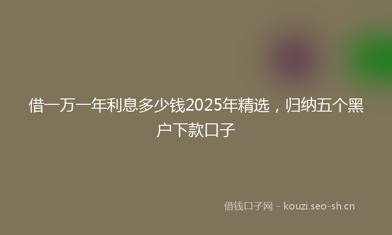 借一万一年利息多少钱2025年精选，归纳五个黑户下款口子