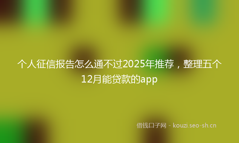 个人征信报告怎么通不过2025年推荐，整理五个12月能贷款的app