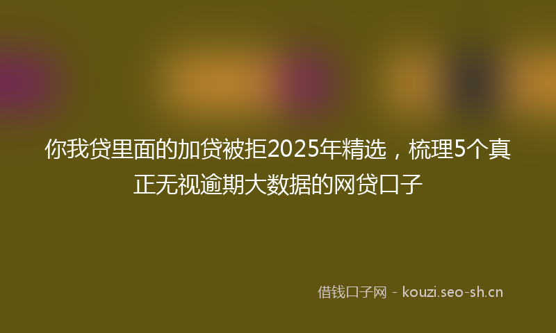 你我贷里面的加贷被拒2025年精选，梳理5个真正无视逾期大数据的网贷口子