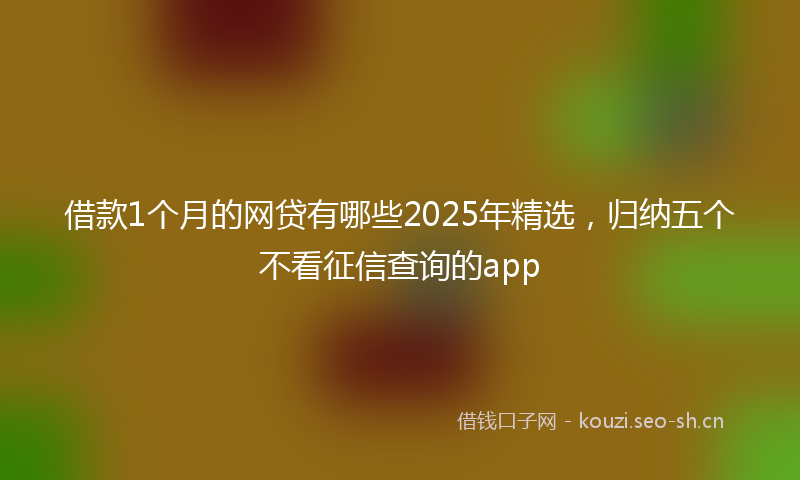 借款1个月的网贷有哪些2025年精选，归纳五个不看征信查询的app