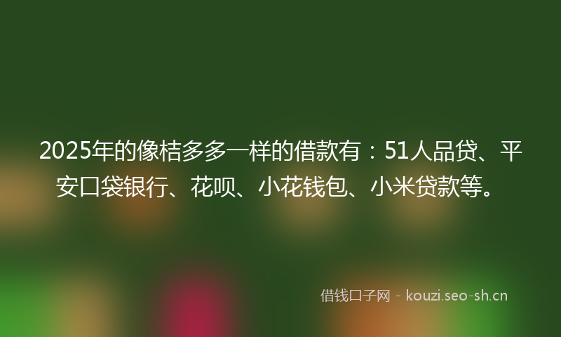 2025年的像桔多多一样的借款有：51人品贷、平安口袋银行、花呗、小花钱包、小米贷款等。