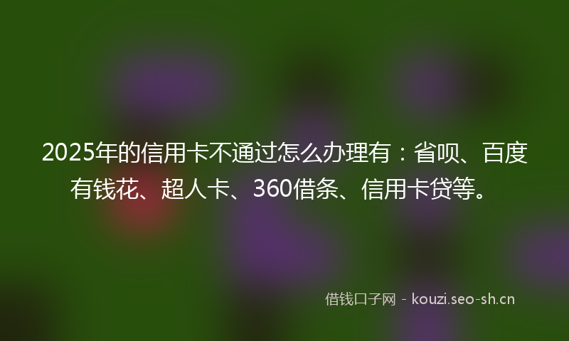 2025年的信用卡不通过怎么办理有：省呗、百度有钱花、超人卡、360借条、信用卡贷等。