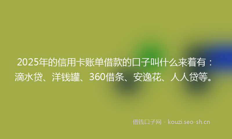 2025年的信用卡账单借款的口子叫什么来着有：滴水贷、洋钱罐、360借条、安逸花、人人贷等。