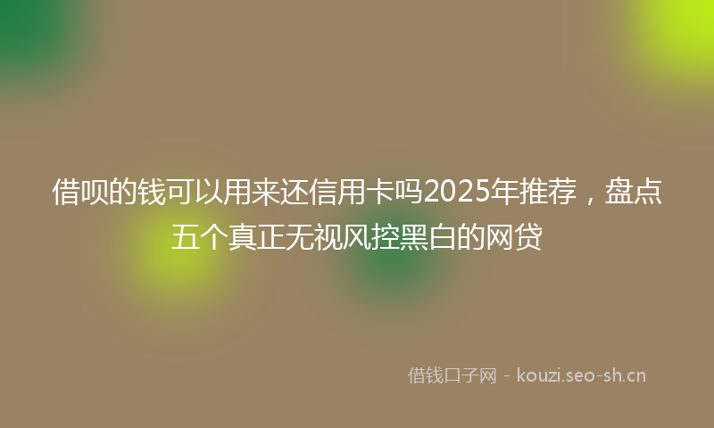 借呗的钱可以用来还信用卡吗2025年推荐，盘点五个真正无视风控黑白的网贷