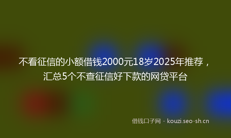不看征信的小额借钱2000元18岁2025年推荐,汇总5个不查征信好下款的网贷平台