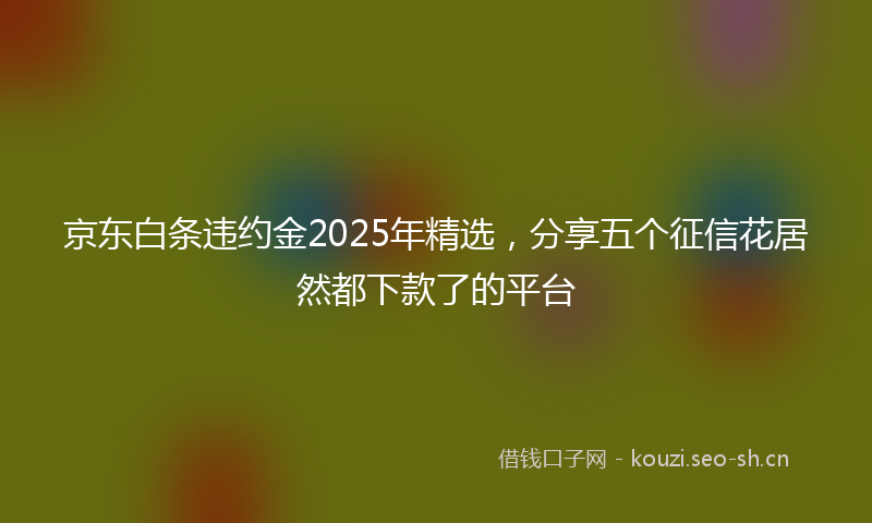 京东白条违约金2025年精选，分享五个征信花居然都下款了的平台