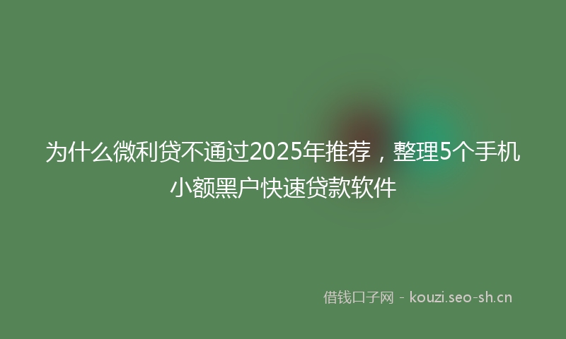 为什么微利贷不通过2025年推荐，整理5个手机小额黑户快速贷款软件