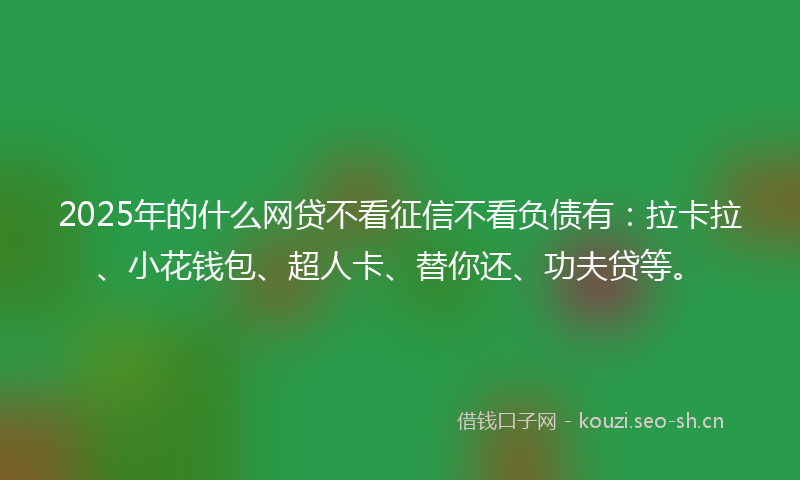 2025年的什么网贷不看征信不看负债有：拉卡拉、小花钱包、超人卡、替你还、功夫贷等。