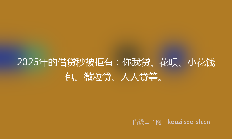 2025年的借贷秒被拒有:你我贷、花呗、小花钱包、微粒贷、人人贷等。