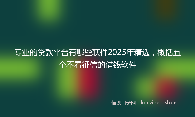 专业的贷款平台有哪些软件2025年精选,概括五个不看征信的借钱软件