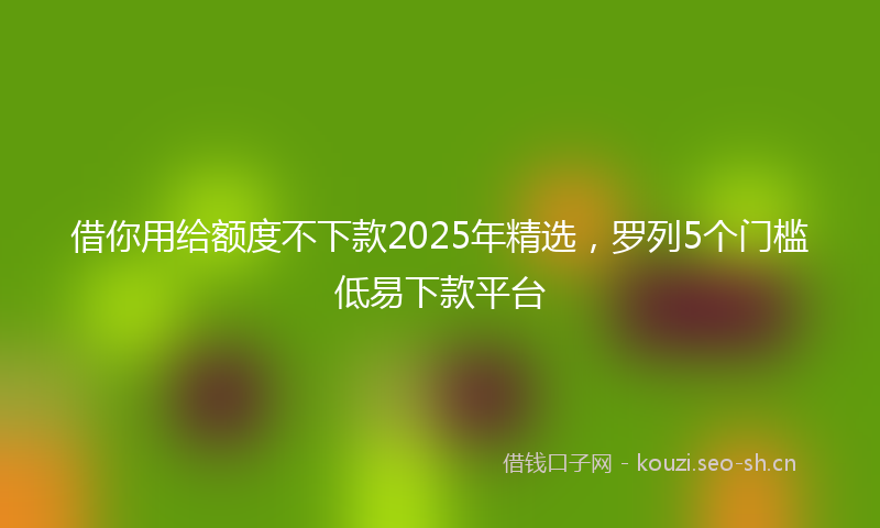 借你用给额度不下款2025年精选，罗列5个门槛低易下款平台