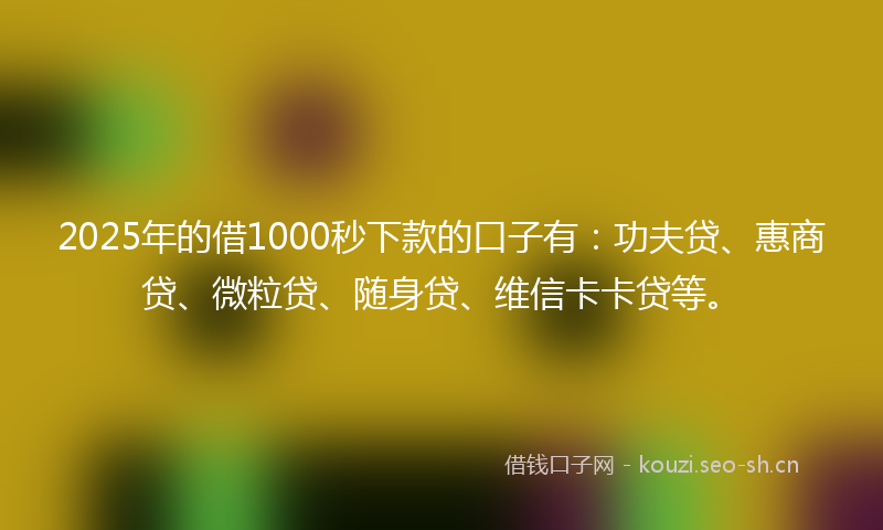 2025年的借1000秒下款的口子有:功夫贷、惠商贷、微粒贷、随身贷、维信卡卡贷等。