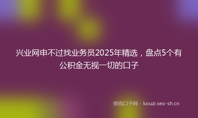 兴业网申不过找业务员2025年精选，盘点5个有公积金无视一切的口子