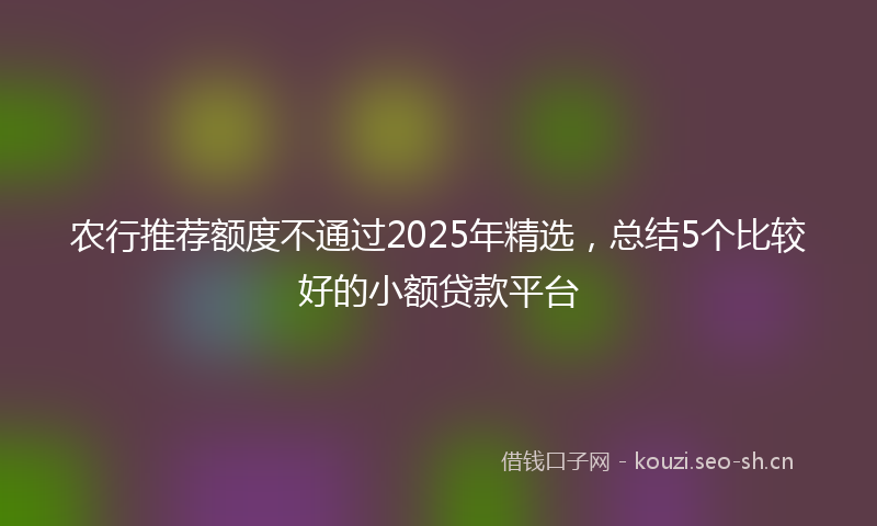 农行推荐额度不通过2025年精选，总结5个比较好的小额贷款平台