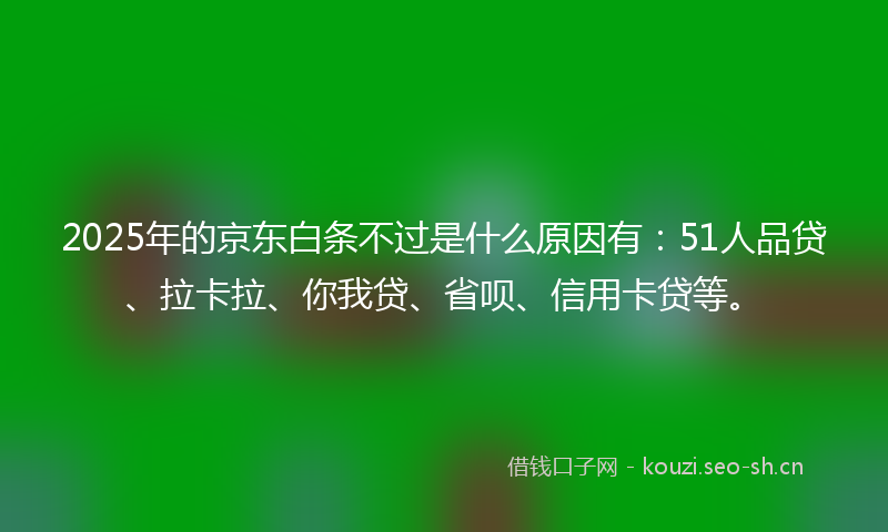 2025年的京东白条不过是什么原因有：51人品贷、拉卡拉、你我贷、省呗、信用卡贷等。