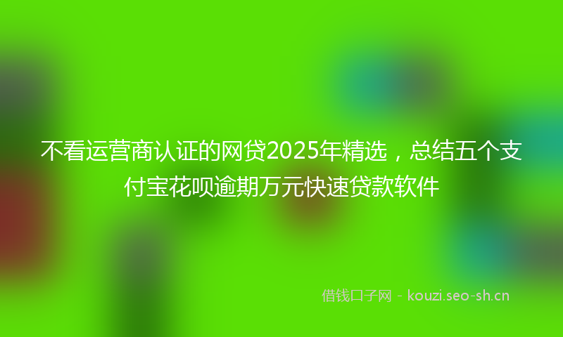 不看运营商认证的网贷2025年精选,总结五个支付宝花呗逾期万元快速贷款软件
